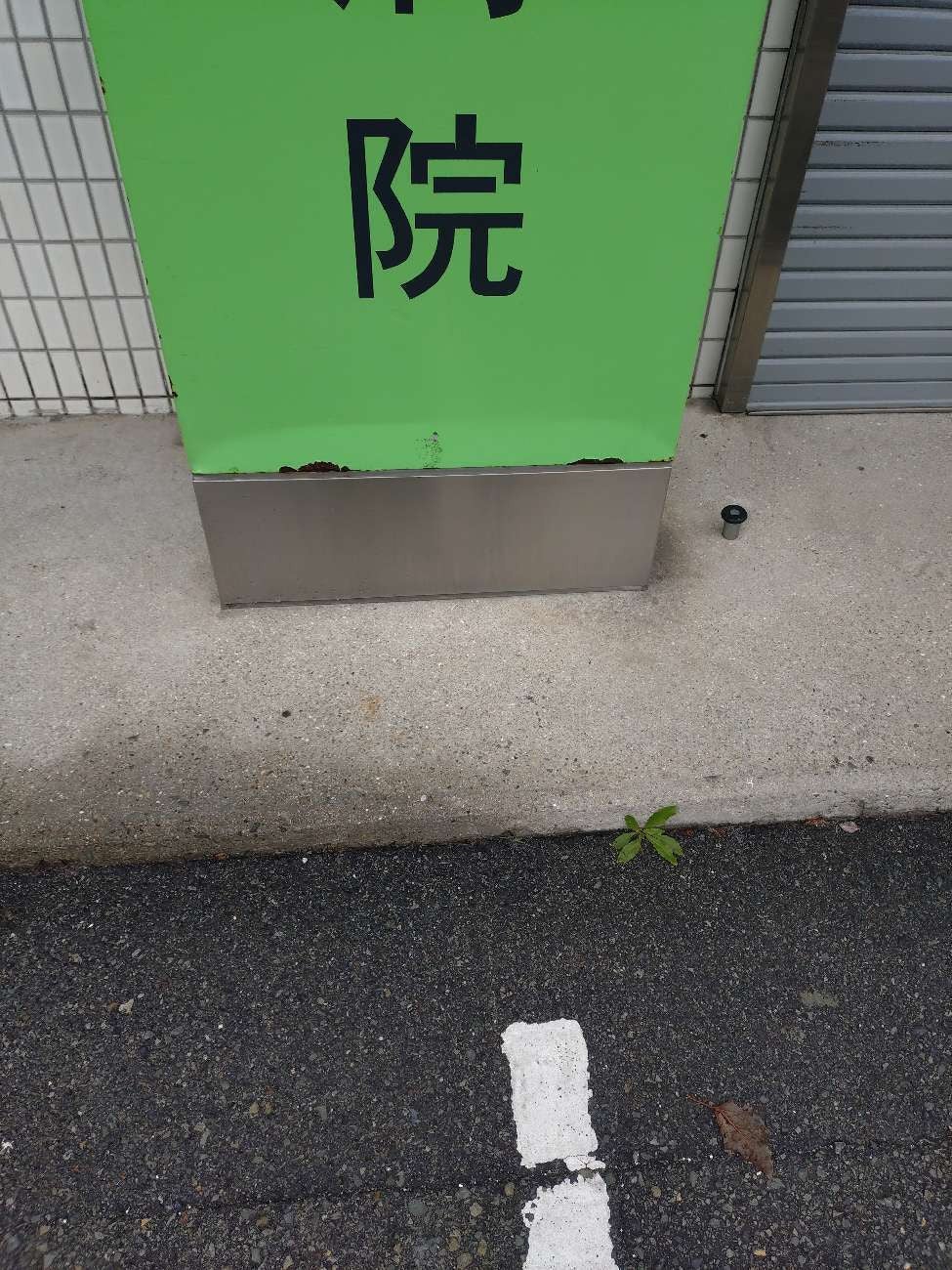 写真：事例
