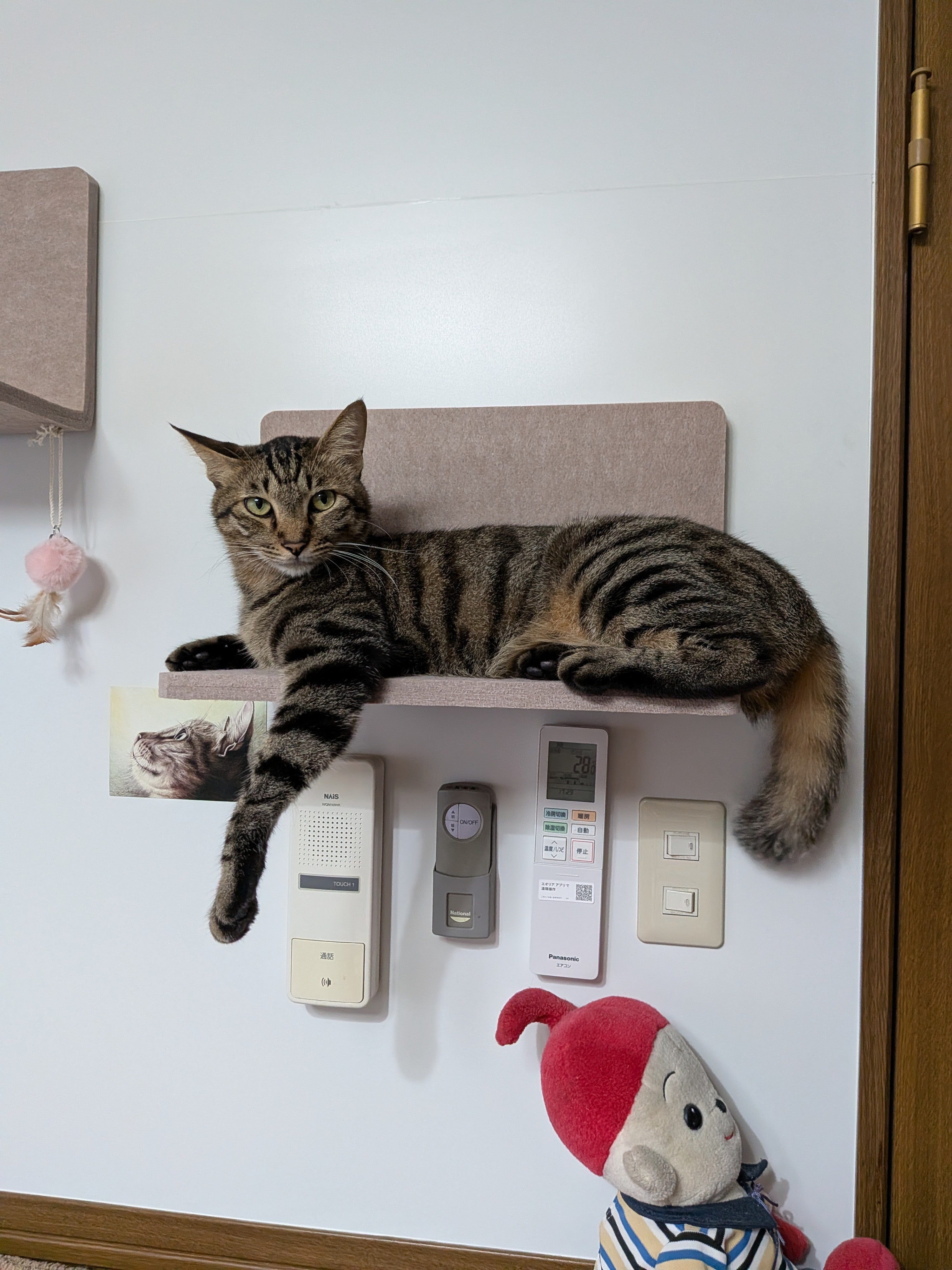 写真：事例