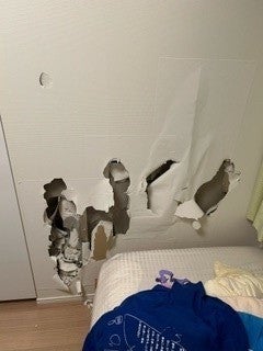 写真:事例