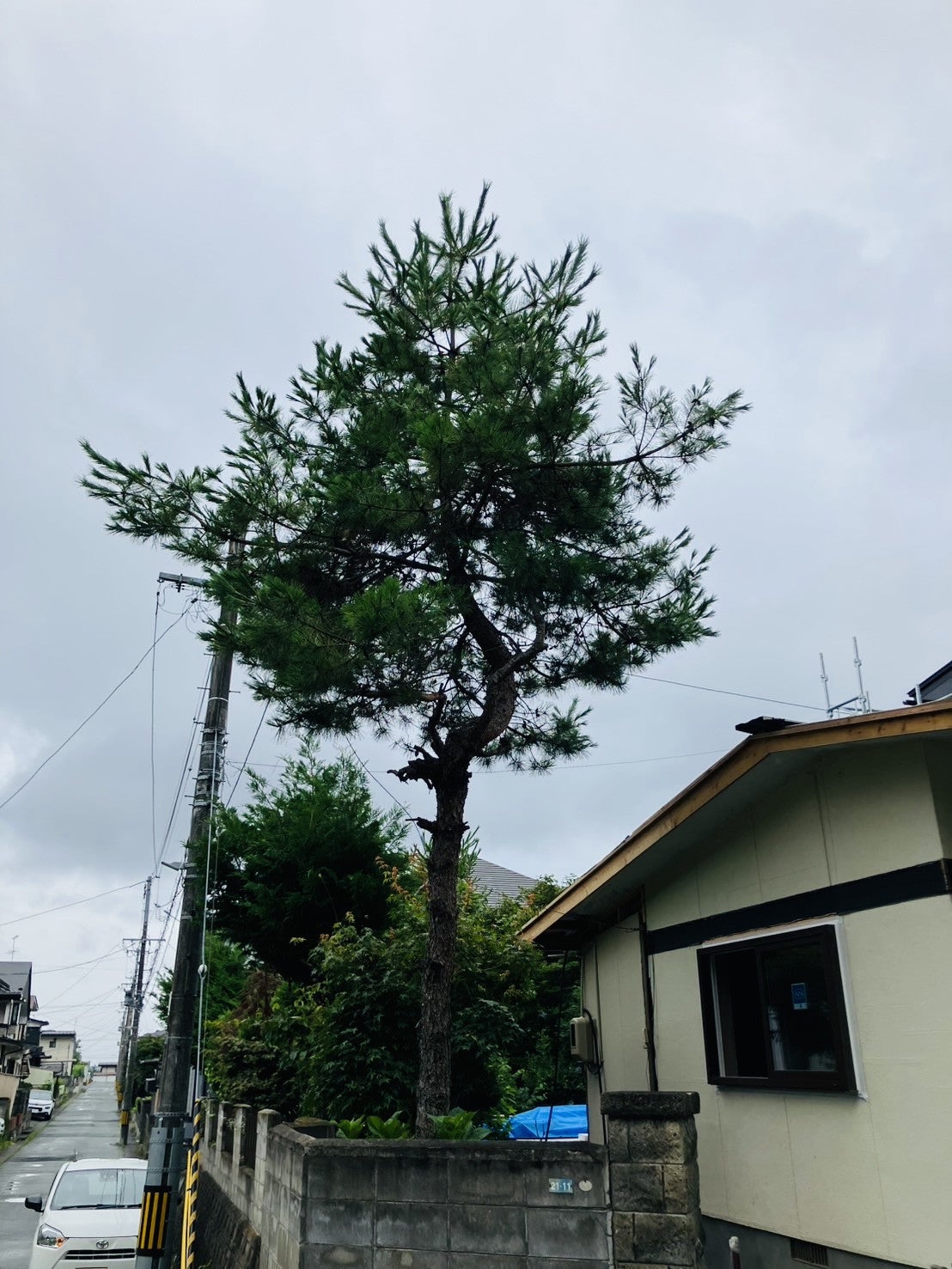 写真：リフォーム事例