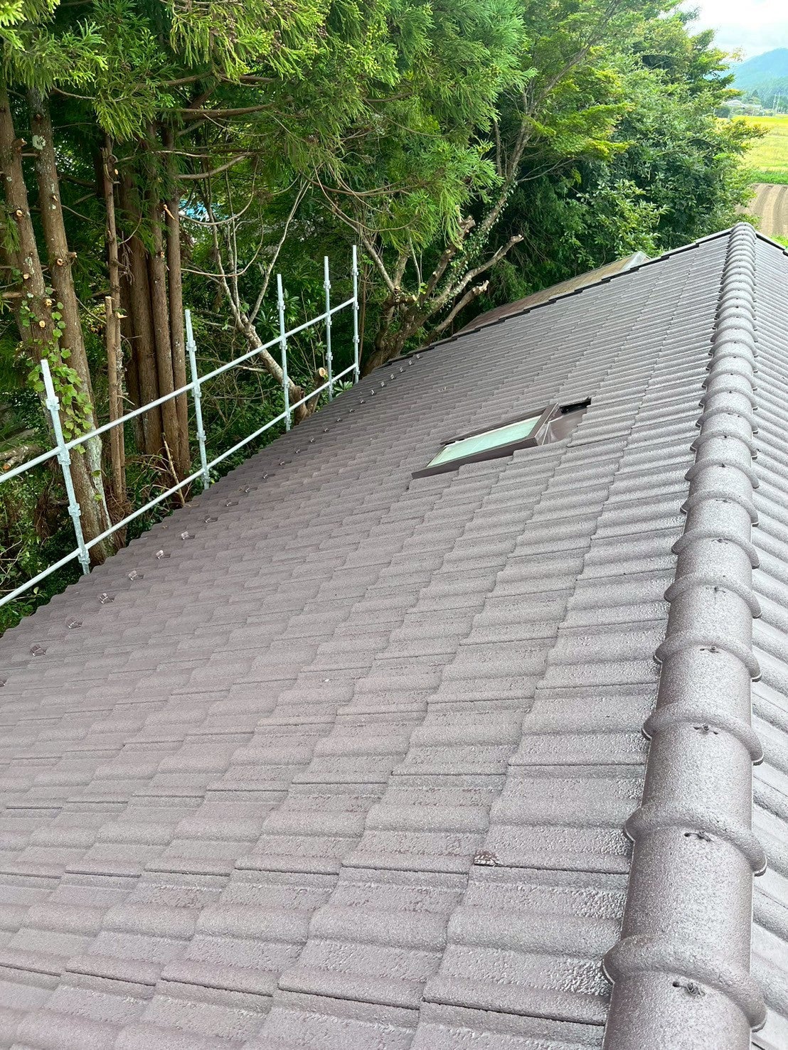 写真：リフォーム事例