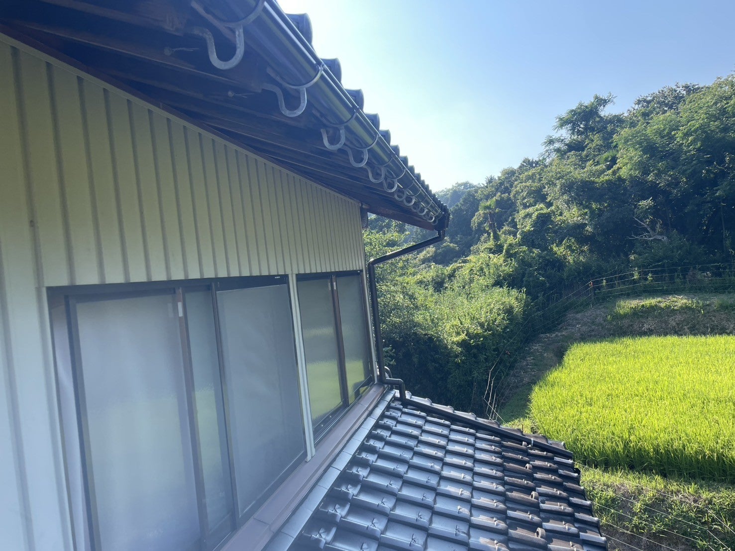 写真：事例