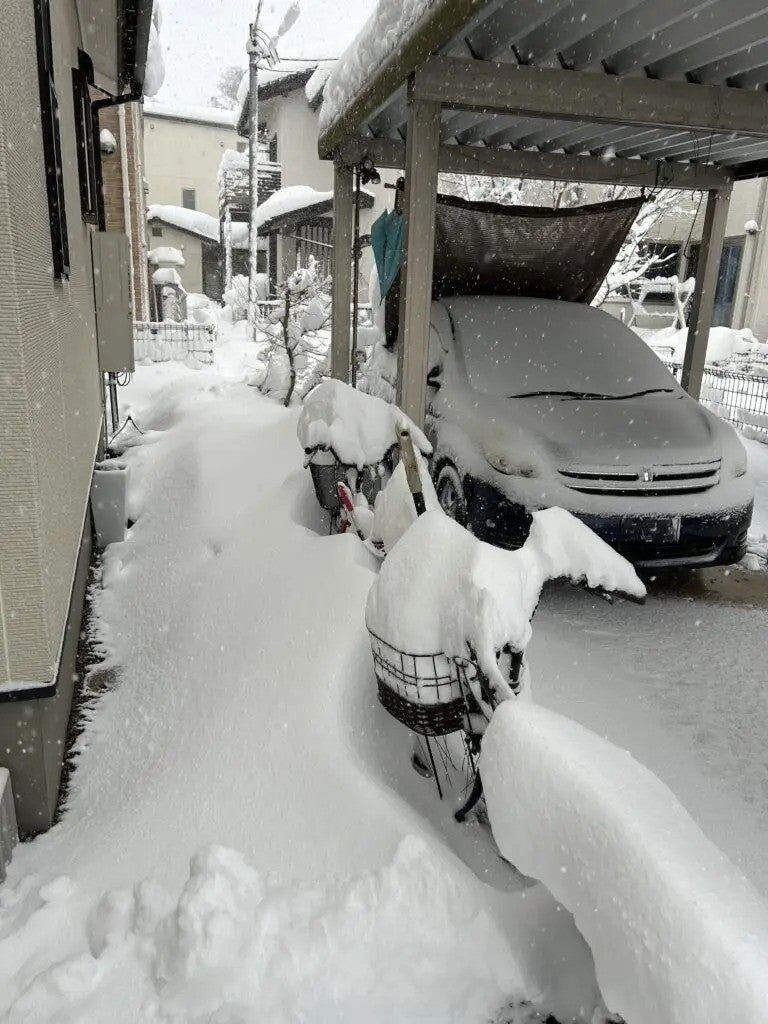 写真：事例