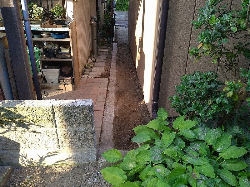 写真:事例
