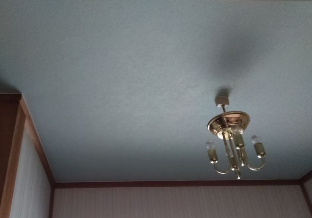 写真:事業者画像