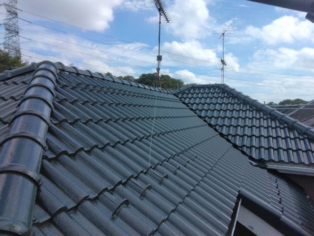 写真:事業者画像