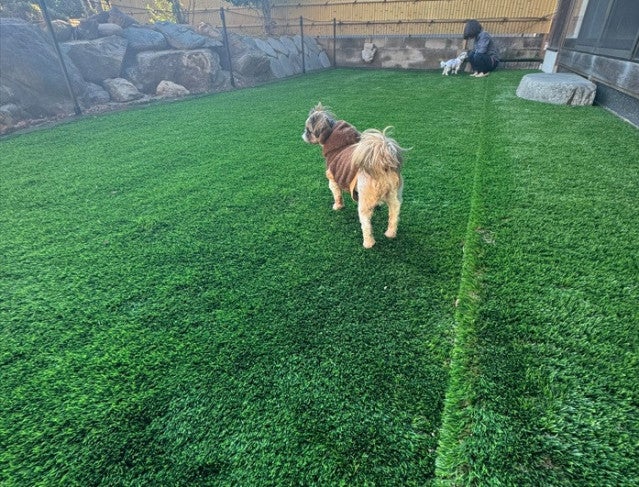 写真：事業者画像