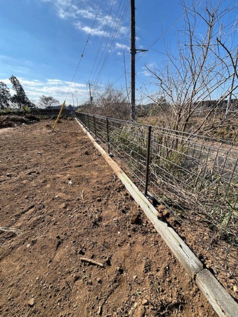 写真：事業者画像