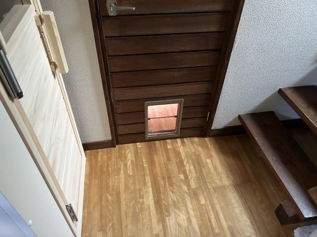 写真：事業者画像