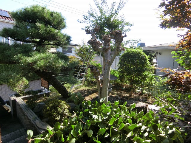 写真：リフォーム事例