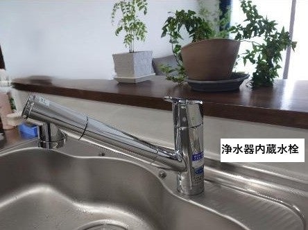 写真：事業者画像