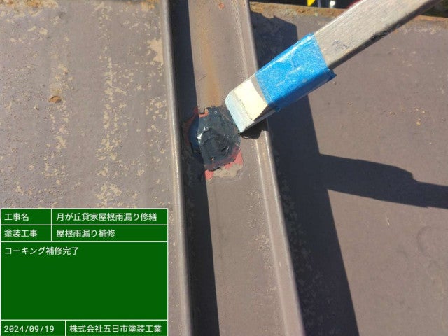 写真:事業者画像