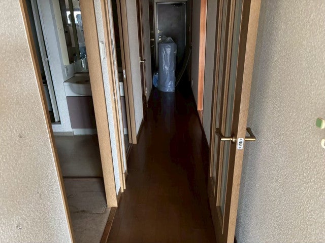 写真：事業者画像