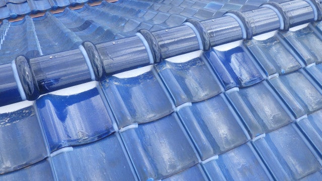 写真：事業者画像