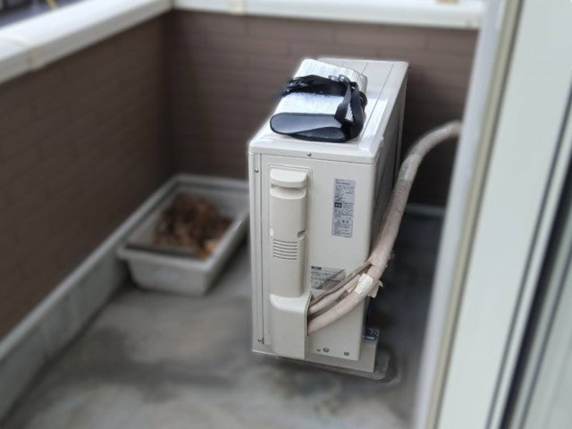 写真：事業者画像