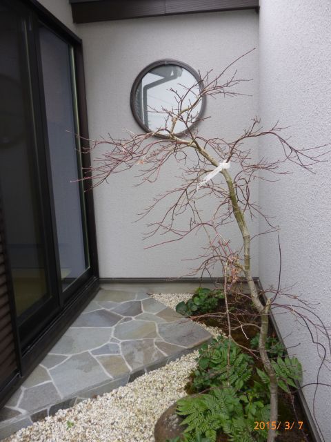 写真：リフォーム事例
