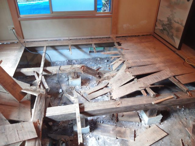 築50年以上、茅ヶ崎・民家の床下は、畳の下地や土台、大引、束が白蟻被害でボロボロになっていた。