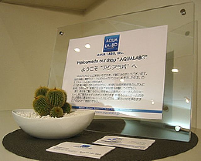 写真: