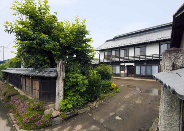 写真：
