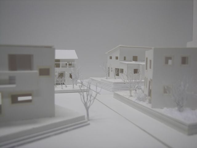写真：