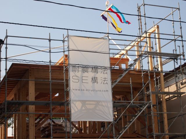写真：