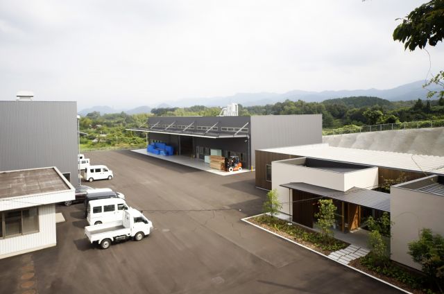 写真：