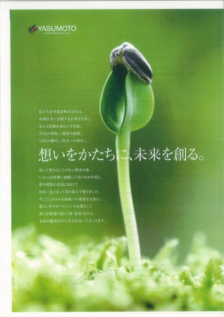 写真: