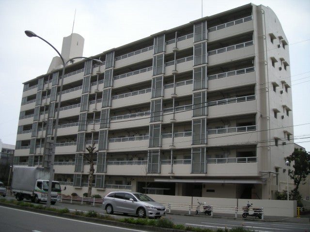写真：