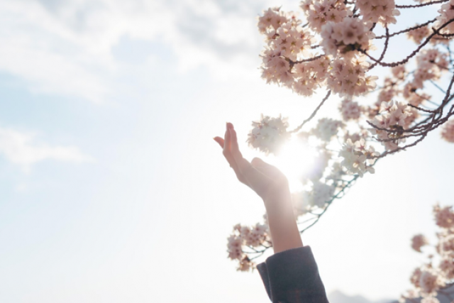 写真：充実のアフターメンテナンスでお引渡し後も安心！