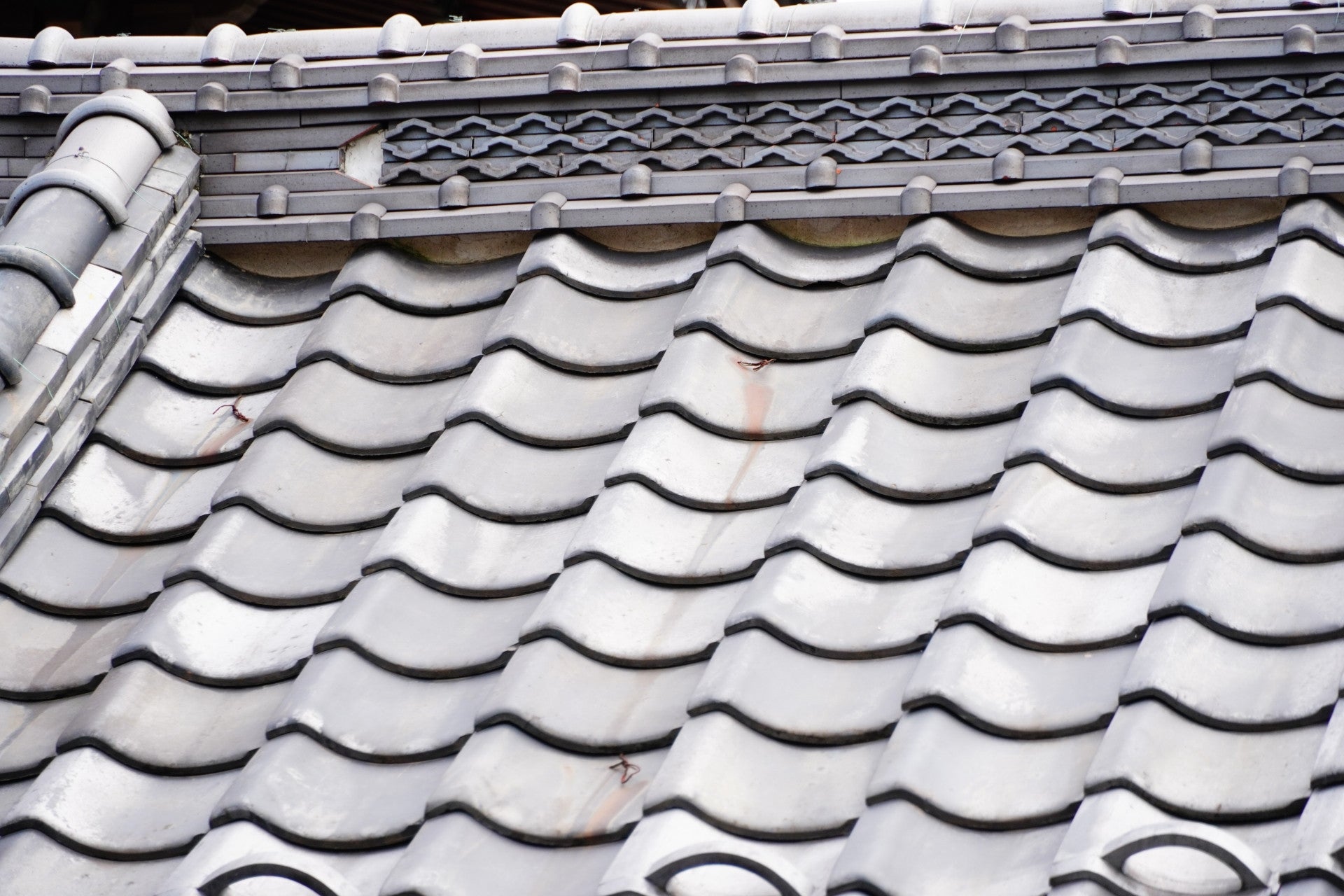 写真:
