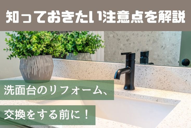 写真: