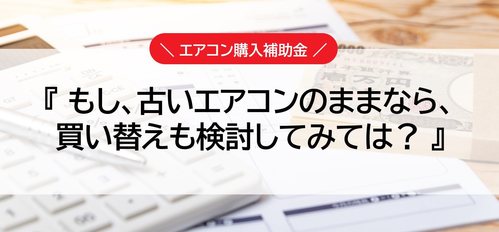 写真：