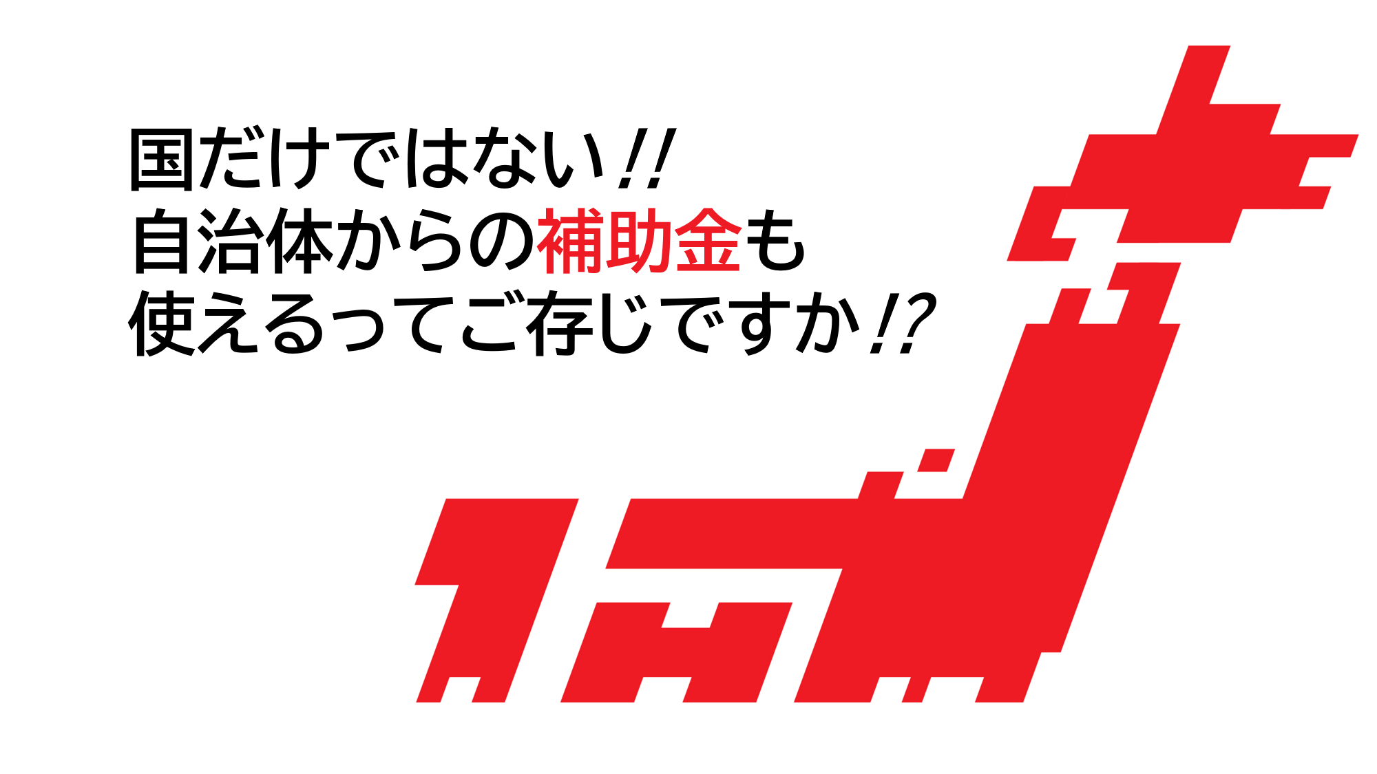 写真：