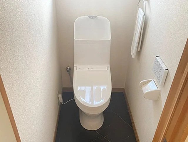 写真: