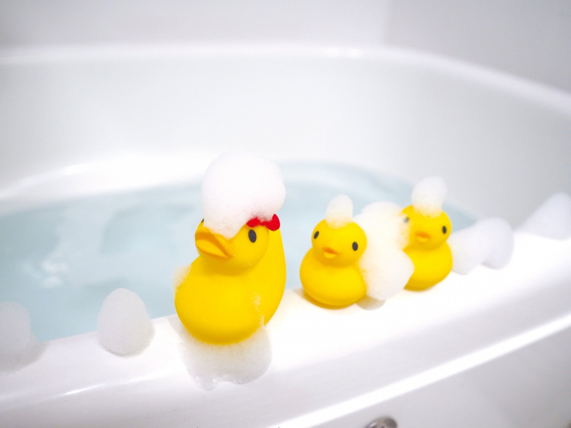 写真: