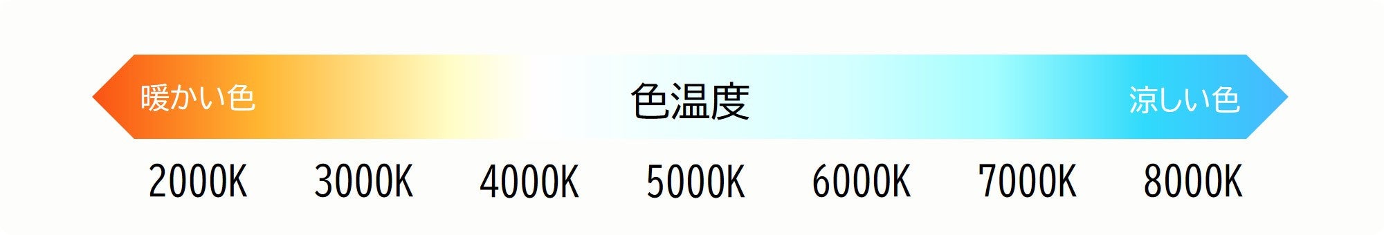 写真: