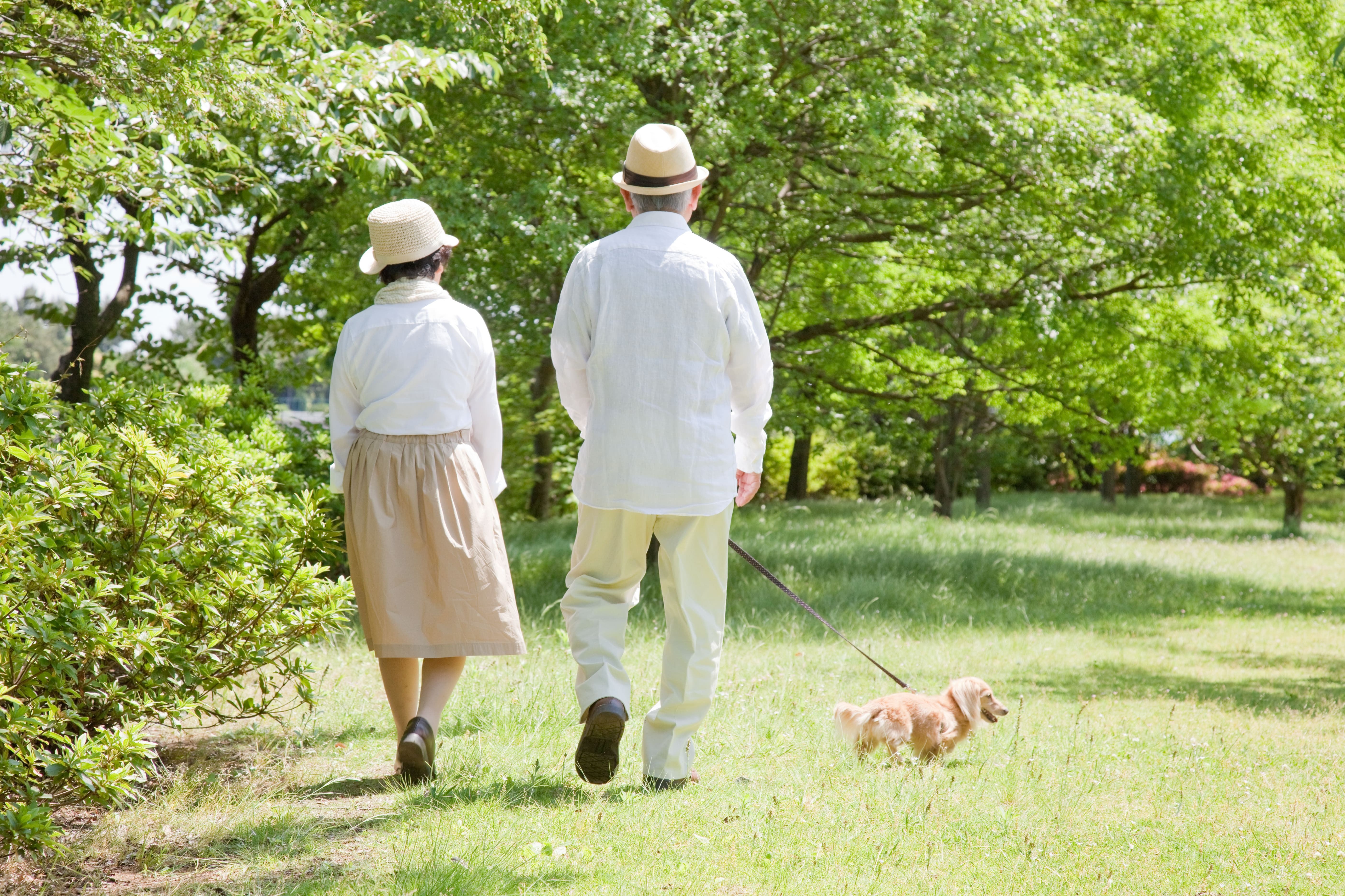写真：家族と住まいの変化を「見える化」しよう