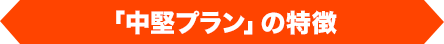 「中堅プラン」の特徴